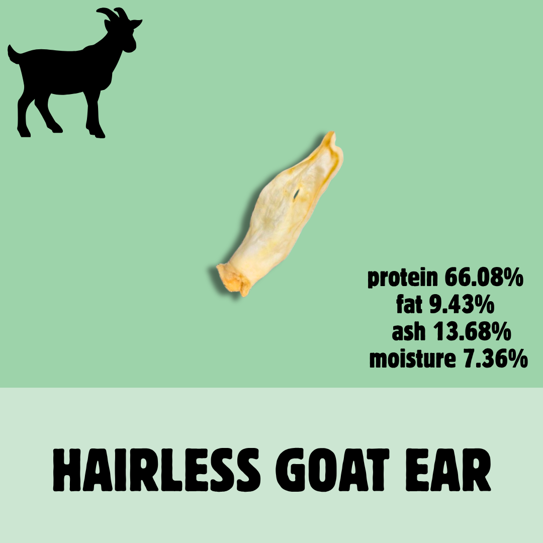 Build a Box | Custom Natural Dog Treat Bundle