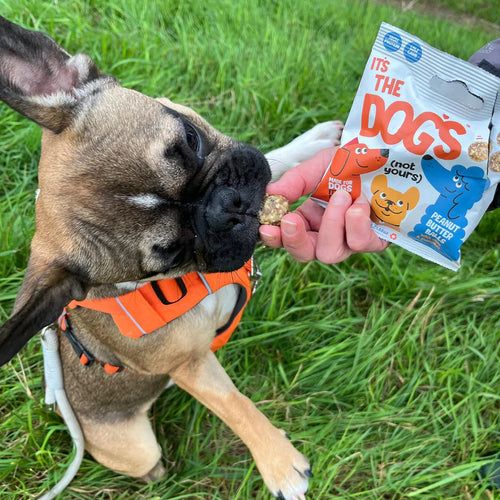 'It's The Digs' Peanut Butter Protein Balls for Dogs