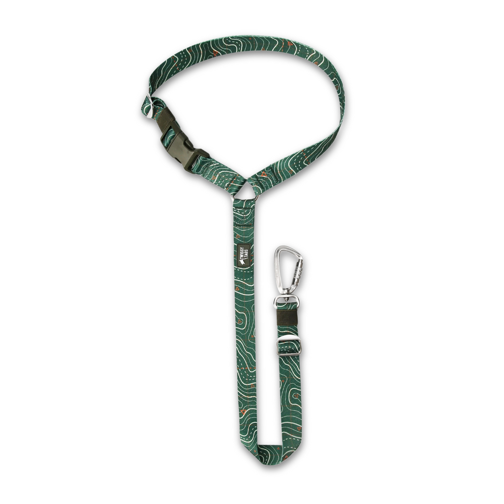 Twiggy Tags Headrest Seatbelt - Nomad