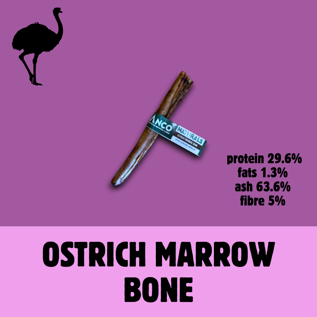 Build a Box | Custom Natural Dog Treat Bundle