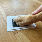 Oh So Precious Complete Puppy/Kitten Keepsake Kit