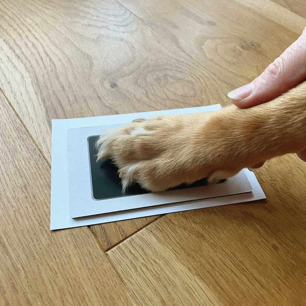 Oh So Precious Complete Pet Keepsake Kit
