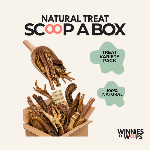 Scoop a Box – Natural Dog Treat Mix