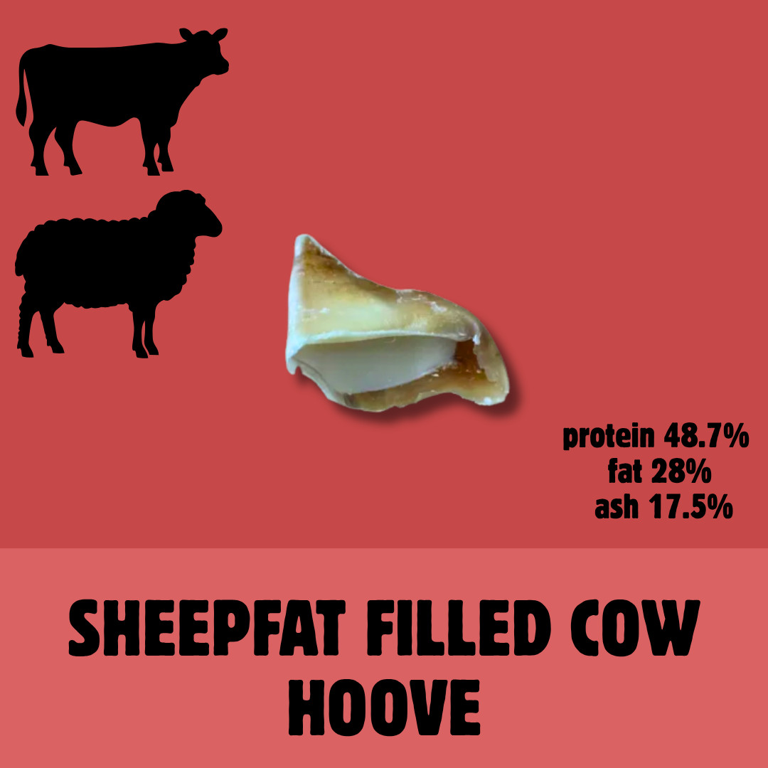 Build a Box | Custom Natural Dog Treat Bundle