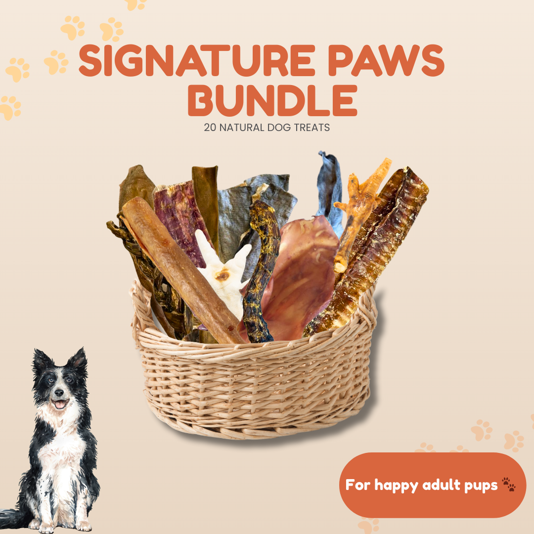 Signature Paws Bundle | Natural Dog Treats