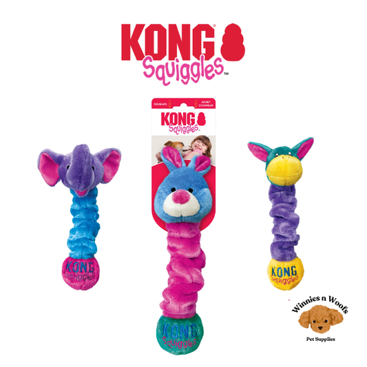 KONG Squiggles Stretchy Floppy Squeaky Dog Toys