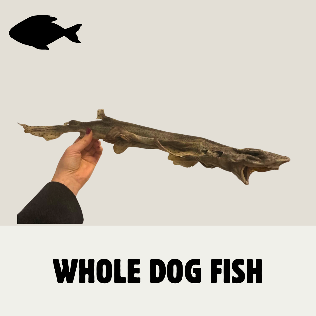 Build Your Own Fish Box | Natural Dog Treats